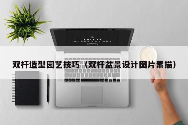 双杆造型园艺技巧（双杆盆景设计图片素描）