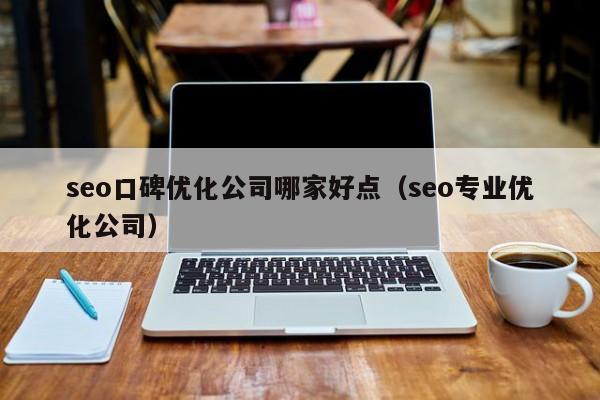 seo口碑优化公司哪家好点（seo专业优化公司）