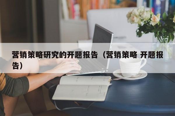 营销策略研究的开题报告（营销策略 开题报告）